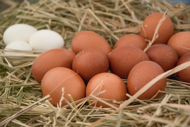 Colegios en Las Rozas: Guía Completa de Centros Educativos