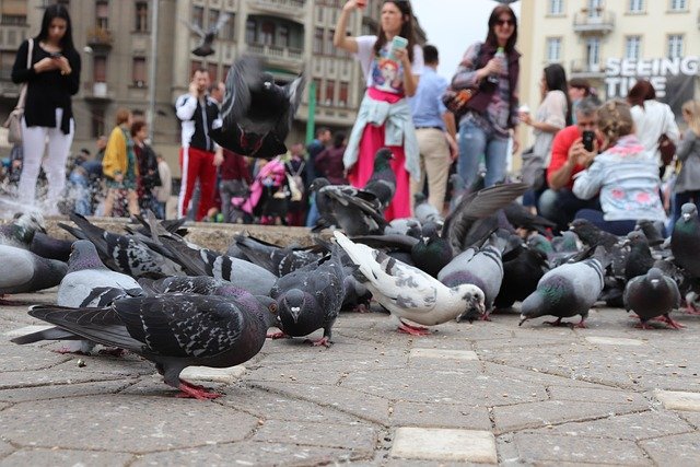 Guarderías Públicas en Madrid: Cómo Conseguir Plaza Paso a Paso
