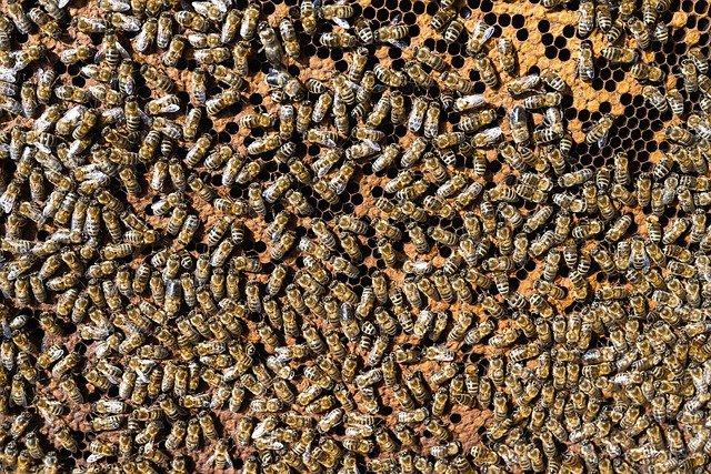 El alcalde de Colmenar Viejo afirma que ya están trabajando en la climatización de los colegios en función de los problemas registrados – Madrid Norte 24 horas — Análisis para Familias de Madrid
